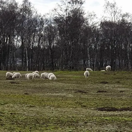 Helene Hoeve * Venhorst