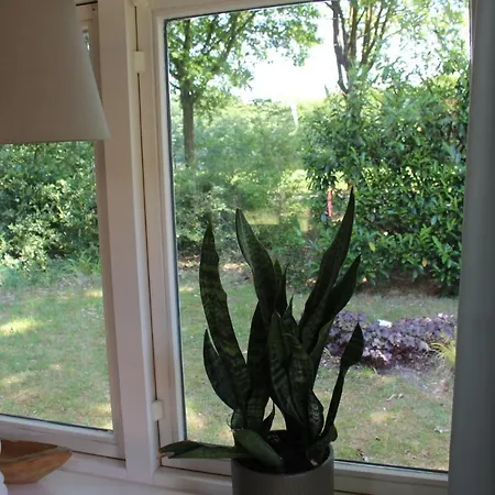 Bed & Breakfast En Helene Hoeve Venhorst