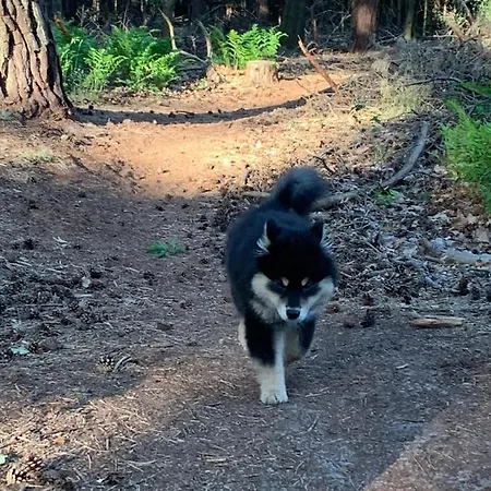 En Helene Hoeve Couette-café 3*