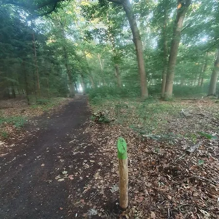 En Helene Hoeve 3* Venhorst