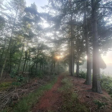 En Helene Hoeve 3* Venhorst