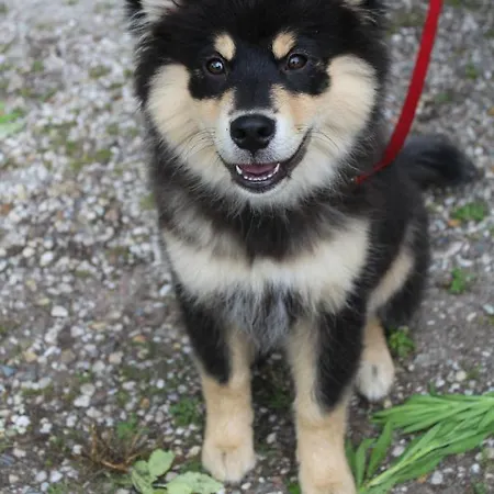 Couette-café En Helene Hoeve 3*