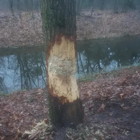 Couette-café En Helene Hoeve