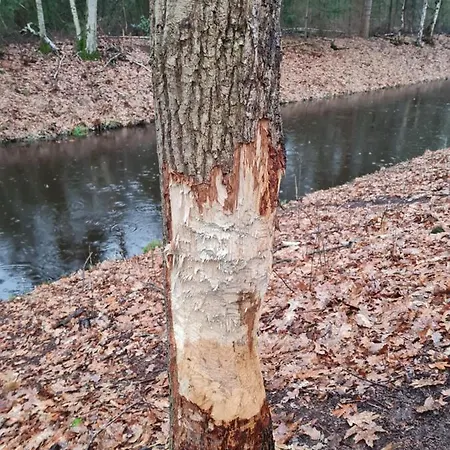 En Helene Hoeve Bed & Breakfast 3*