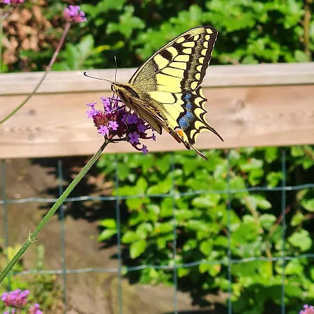 Couette-café En Helene Hoeve Venhorst