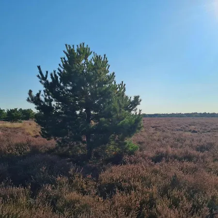 En Helene Hoeve Couette-café