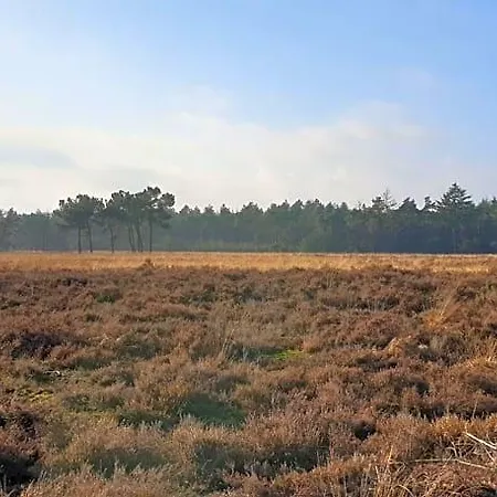 En Helene Hoeve 3* Venhorst