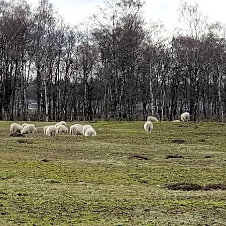 En Helene Hoeve 3* Venhorst