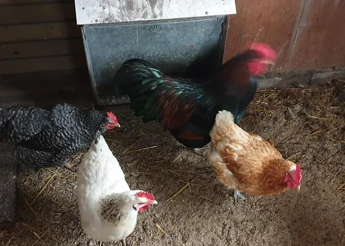 En Helene Hoeve 3* Venhorst