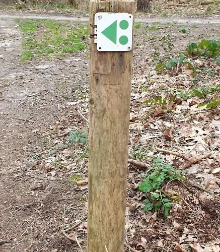 En Helene Hoeve Bed & Breakfast Venhorst