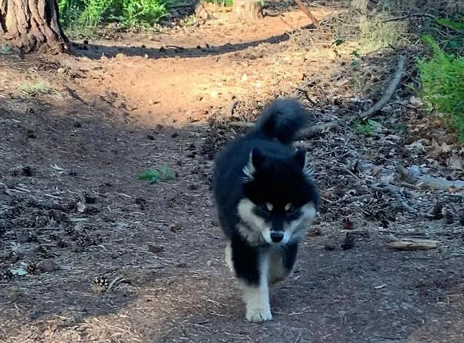 En Helene Hoeve Couette-café 3*