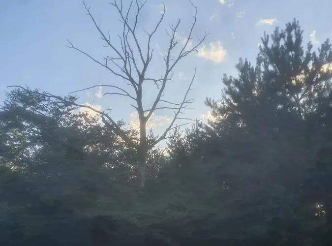 En Helene Hoeve Couette-café