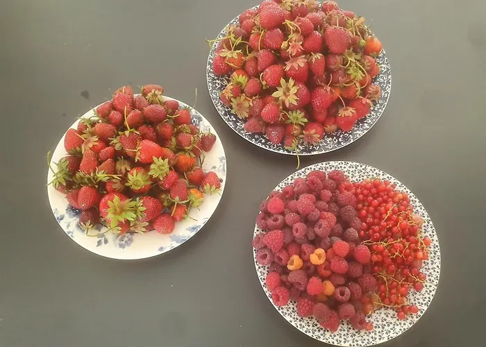 En Helene Hoeve Venhorst