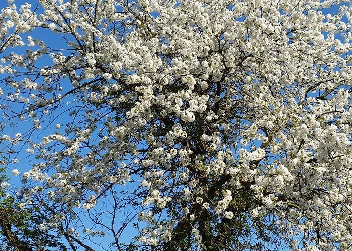 En Helene Hoeve 3* Venhorst