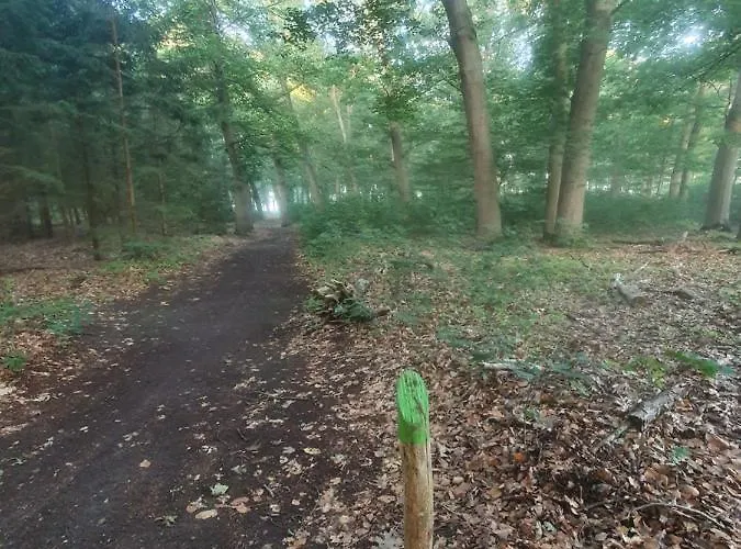 En Helene Hoeve 3* Venhorst