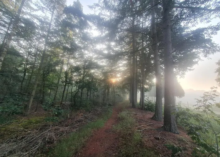 En Helene Hoeve 3* Venhorst