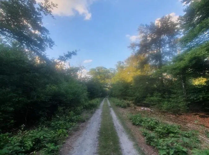 En Helene Hoeve Bed & Breakfast