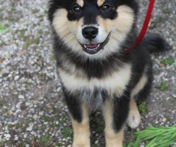 Couette-café En Helene Hoeve 3*