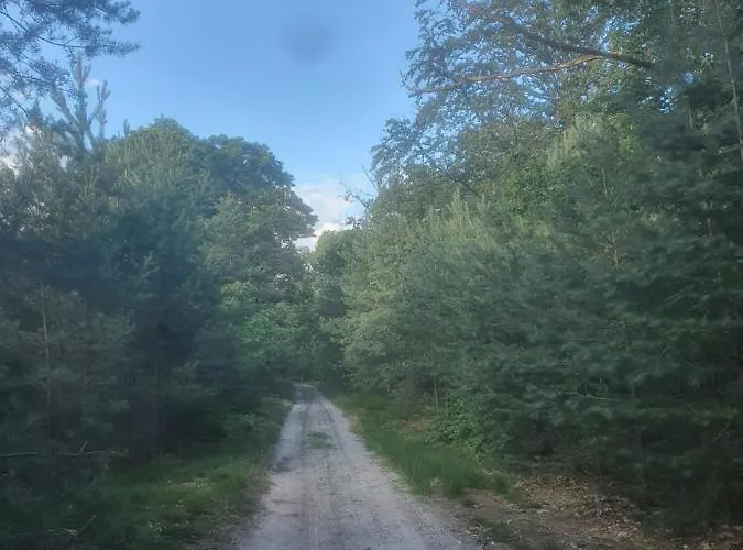 En Helene Hoeve Отель типа 