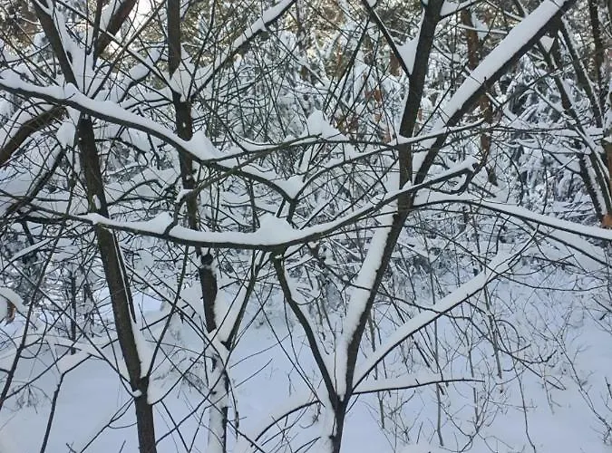 En Helene Hoeve Couette-café Venhorst