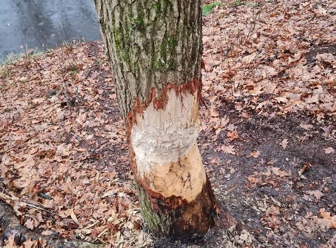 En Helene Hoeve Venhorst