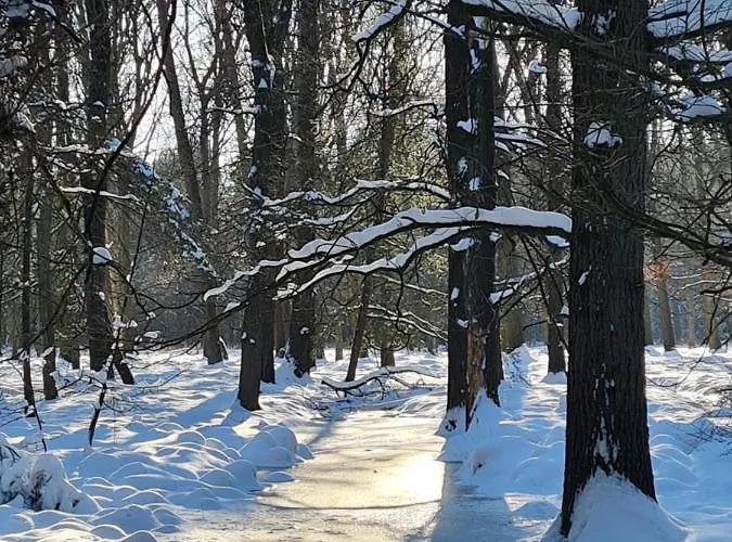 En Helene Hoeve Venhorst