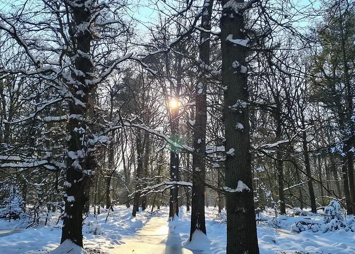 En Helene Hoeve 3* Venhorst