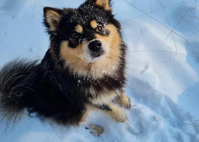 En Helene Hoeve Bed & Breakfast Venhorst