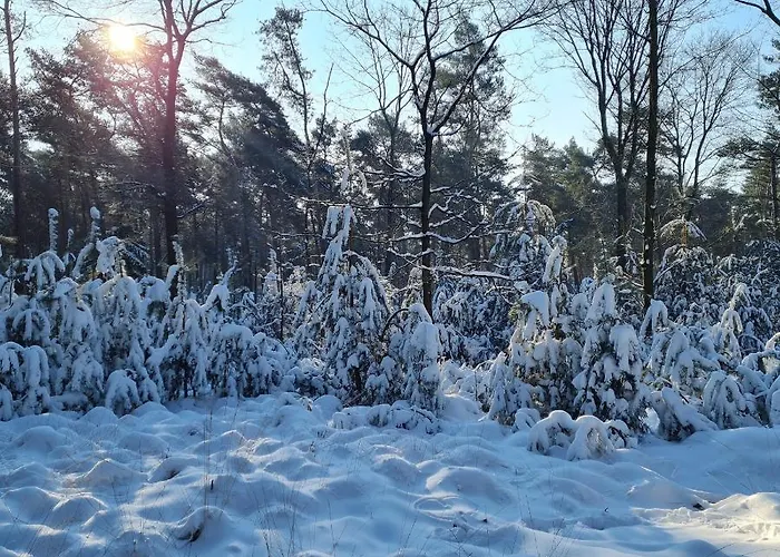Couette-café En Helene Hoeve Venhorst