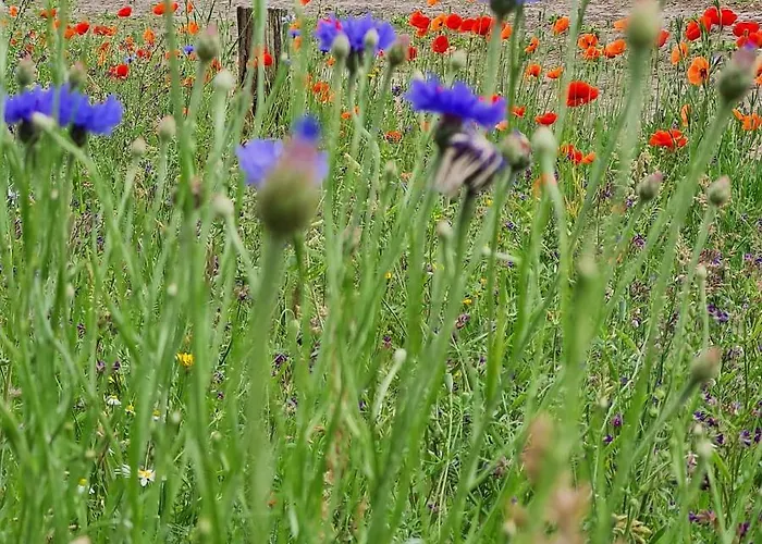 En Helene Hoeve Venhorst