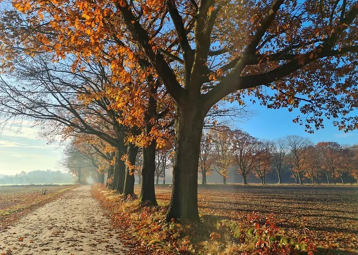 En Helene Hoeve Bed & Breakfast 3*