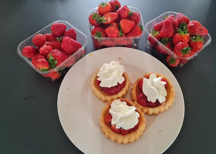 Couette-café En Helene Hoeve 3*