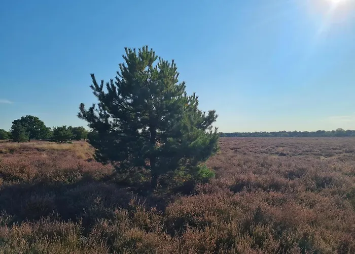 En Helene Hoeve Bed & Breakfast