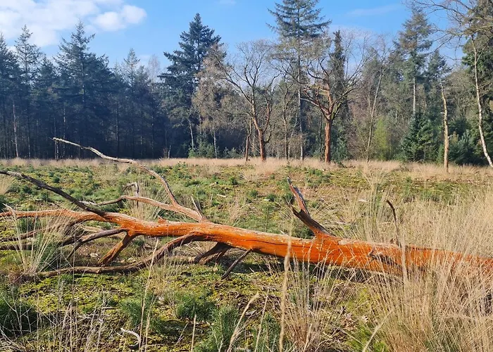 En Helene Hoeve Venhorst