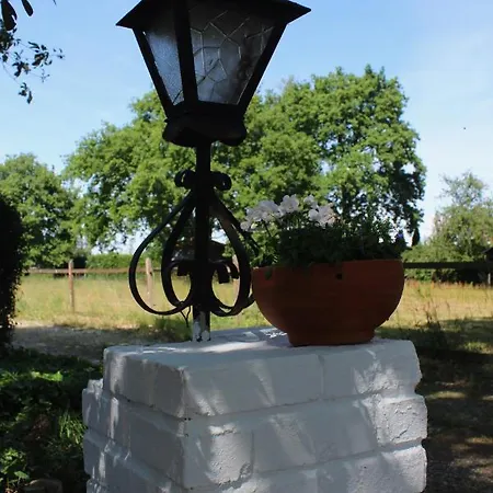 Helene Hoeve Venhorst