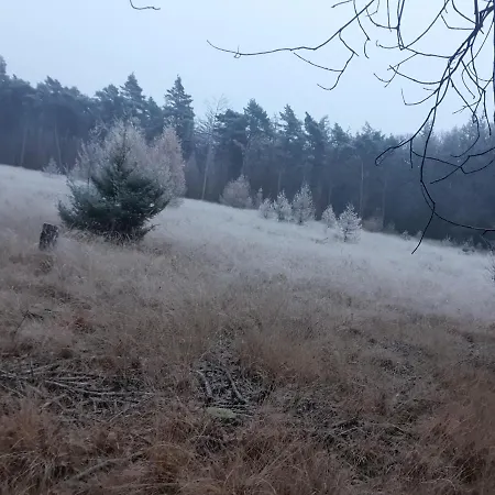 Helene Hoeve 3* Venhorst