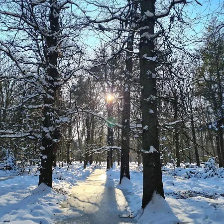 Helene Hoeve 3* Venhorst