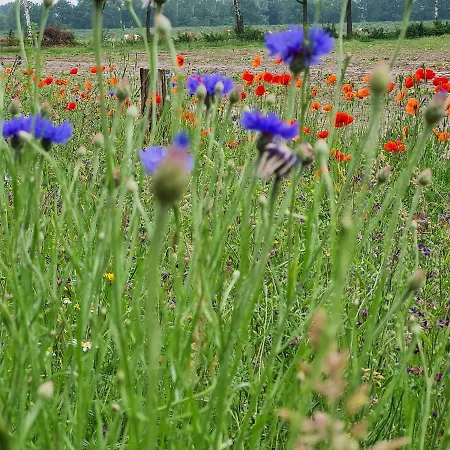 Helene Hoeve Venhorst