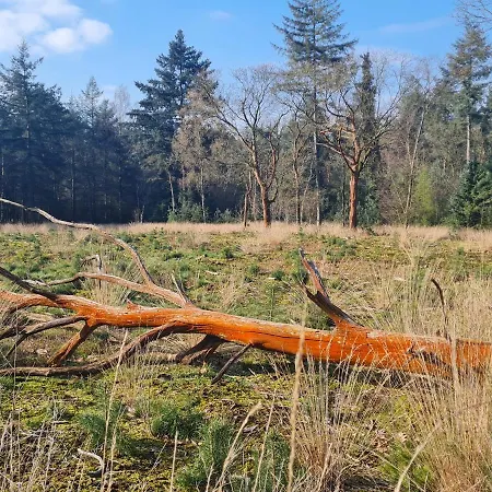 Helene Hoeve Venhorst